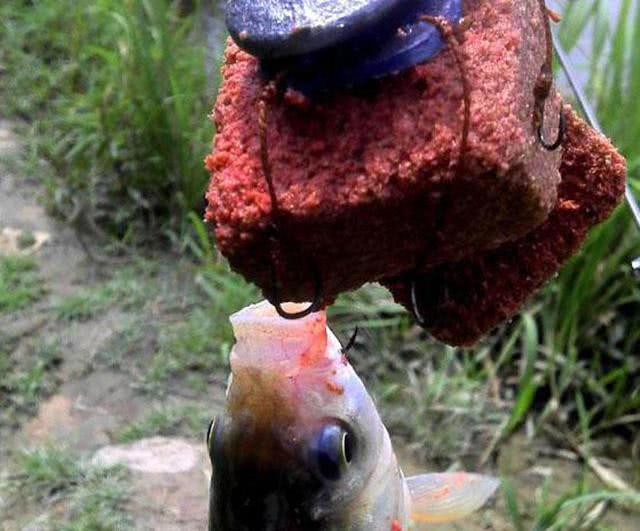 于湖南地区的翻板钩，特别适合钓鲤鱼，它是什么原理