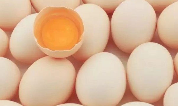 鸡蛋能生吃吗