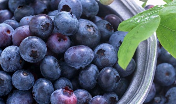 蓝莓哪些人不能吃