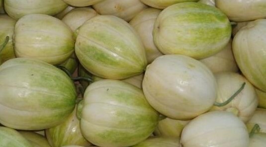 香瓜有什么营养和功效